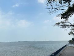 -大湾区中央湿地公园