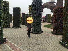 -绵阳盛世樱花悠乐谷