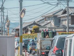 -奈良公园