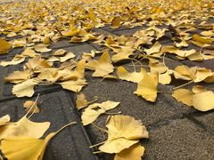 -高庙村(地铁站)