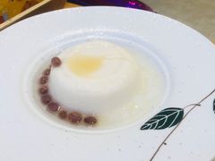-美食小镇·观赏珍稀鸟类·长隆熊猫酒店