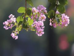 -杭州城北体育公园