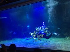 -石家庄海洋公园