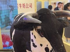 -红星前进面包牛奶公司(君太店)