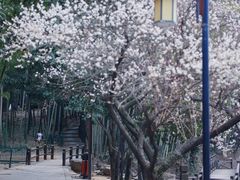 -宝岩生态观光园