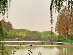 -黄兴公园