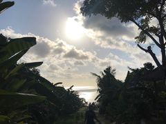 -Bamboo Bar & Grill Restaurant