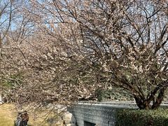 -国际非物质文化遗产博览园