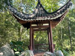 -深圳国际园林花卉博览园