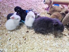 -大玩家(拱墅万达店)