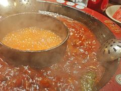 -矮板凳老火锅(宽窄巷子店)