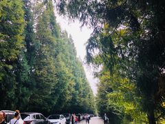 -山王坪喀斯特国家生态公园