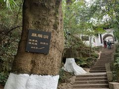 -黔灵山公园