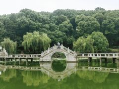 -灵岩山风景区