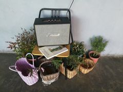 -Cafe Rooftop Cheongsapo