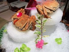 -梅花境(万科店)