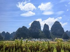 -钟山水墨田园