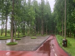 -黄海国家森林公园