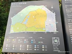 -莲花山公园