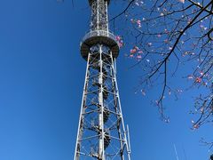 -风云岭森林公园