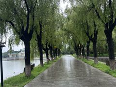 -北陵公园