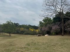 -田心森林公园