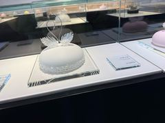 -BLACKSWAN黑天鹅(环球店)