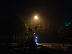 -四川农业大学(雅安校区)