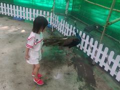 -史努比缤纷世界