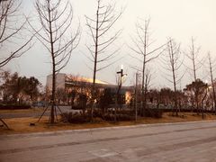 -郑州大剧院