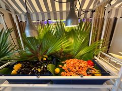 -海口绿发希尔顿酒店-田园汇自助餐·三文鱼·海鲜