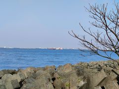-上海滨江森林公园