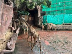-长鹿旅游休博园