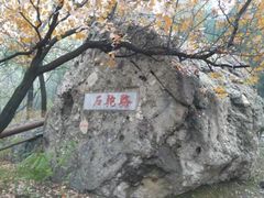 iphone_upload_pic-阳台山自然风景区