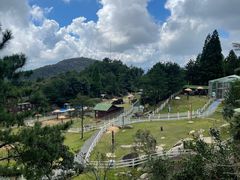 -玉苍山国家森林公园