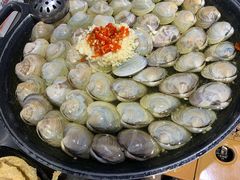 大白贝-水哥卜卜贝(东晓·胜汇里店)