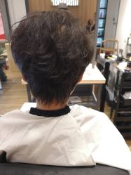 -Mentor Hair Salon