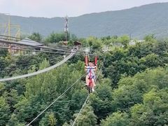 -铜川市金锁关石林