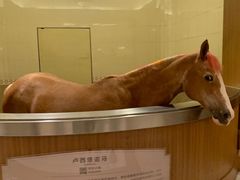 -海澜飞马水城