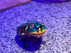 青蛙玩具-蛙来哒(汇一城黑金冠店)