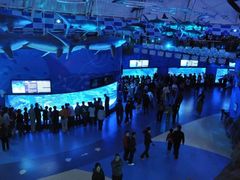 -烟台海昌鲸鲨海洋公园