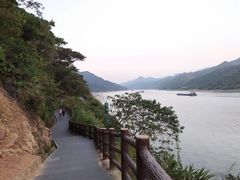-羚羊峡古栈道森林公园