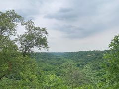 -大青沟风景区