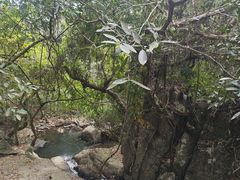-呀诺达热带雨林