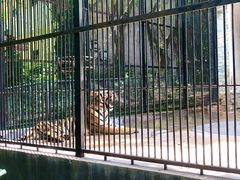-广东茂名森林公园