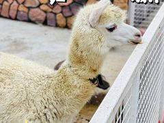 -金庭庄园酒店-停车场