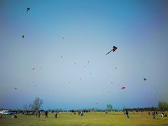 -汉长安城未央宫国家考古遗址公园