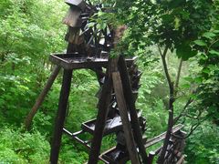 -五营红松林海景区