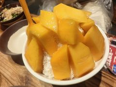 -古木枫老火锅(洪崖洞店)