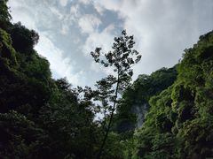 -青城山